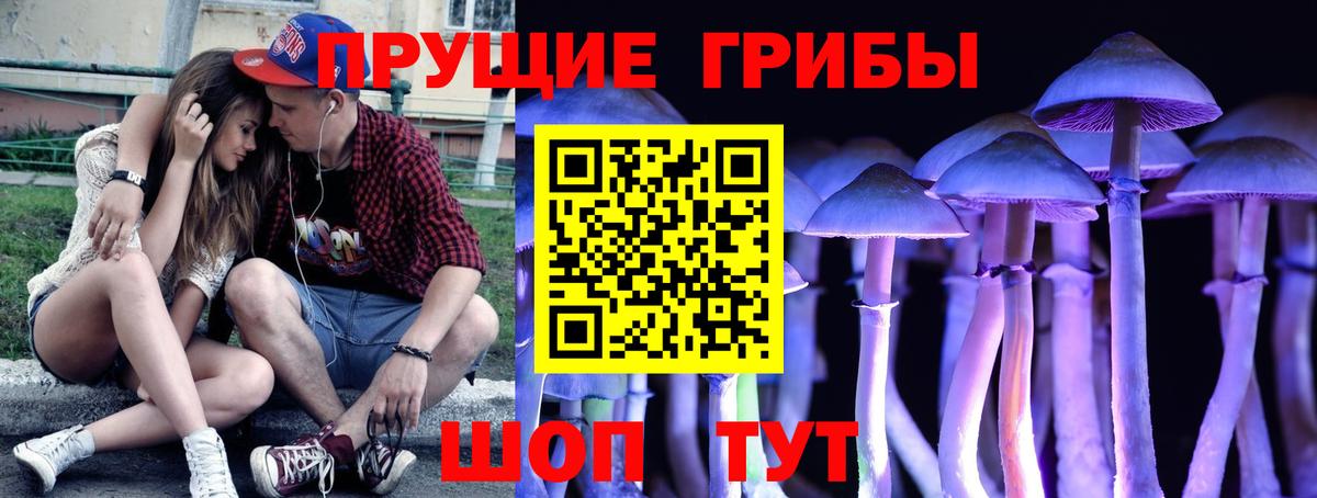 Псилоцибиновые грибы MAGIC MUSHROOMS Самара