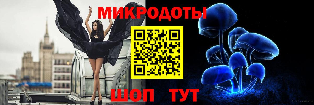 Псилоцибиновые грибы MAGIC MUSHROOMS  Галлюциногенные грибы Psilocybe  Самара  Вход с VPN 